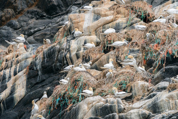 Plastic pollution critical point at Runde Norway July 2019