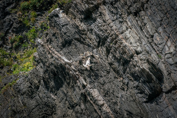Plastic pollution critical point at Runde Norway July 2019
