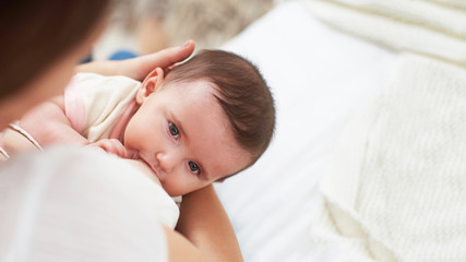 Obraz na płótnie Canvas the process of Breastfeeding Mum feeds the child