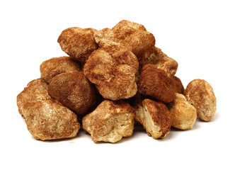 hericium erinaceus on white background