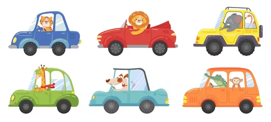 Wall murals Cartoon cars Cute animals in funny cars. Animal driver, pets vehicle and happy lion in car kid vector cartoon illustration set