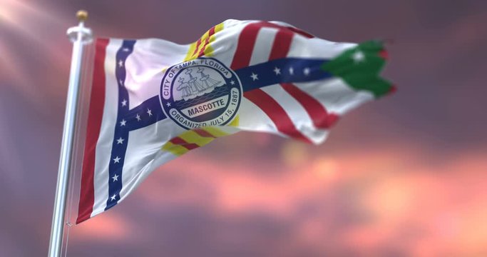 Flag of Tampa city, city of United States of America - loop