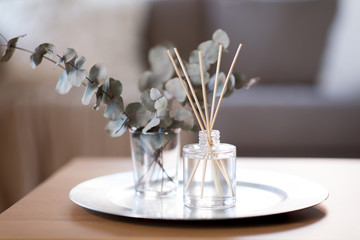 decoration, hygge and aromatherapy concept - aroma reed diffuser and branches of eucalyptus populus on table at home - obrazy, fototapety, plakaty