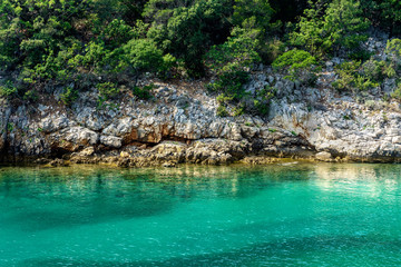 rocky seashore on Croatia islans with turquoise water and pine trees