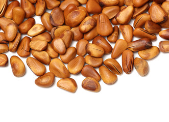 Pine nuts on white background