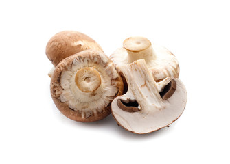 champignon mushrooms on white background