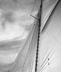 Fototapeta premium Sail