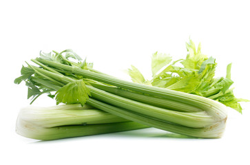 fresh celery isolated on white background