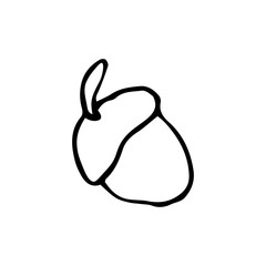 Acorn. Hand drawing sketch. Black outline on white background. Picture can be used in advertisement, posters, flyers, banners, logo, further design etc. Vector illustration. EPS10