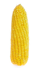 Corn on white background