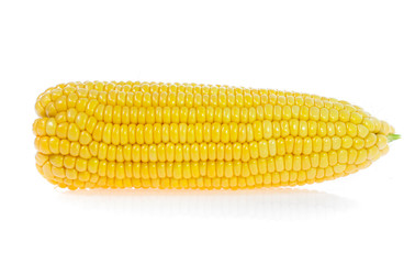Corn on white background