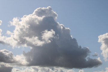 clouds with dark bottom in the sky