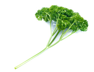 parsley isolated on white background