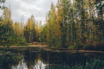 Fototapeta na wymiar Russian autumn