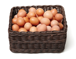 eggs on white background 