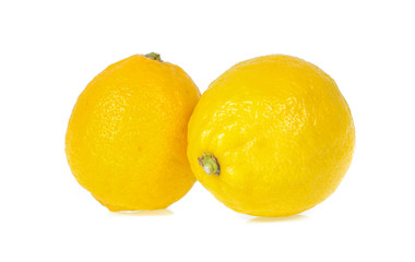 Lemons  white background