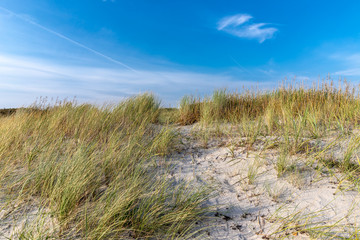 Dünenlandschaft