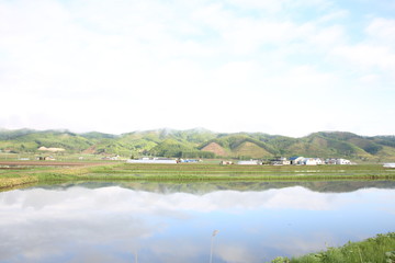 田んぼリフレクション
