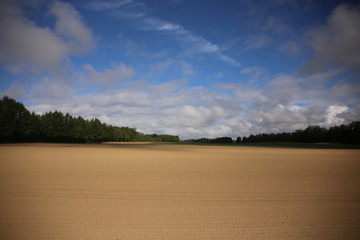 広大な畑と青空