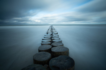 landscape and wildlife