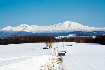 積雪の畑作地帯と山並み　大雪山