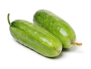 Green cucumber on the white background