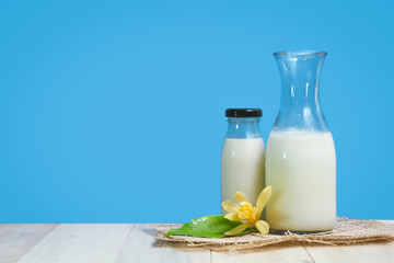 A bottle of rustic milk and glass of milk on a wooden table on a blue background