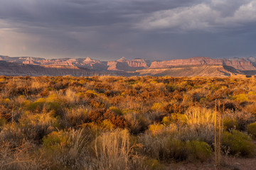 USA Westen Valley of Fire / Grand Canyon