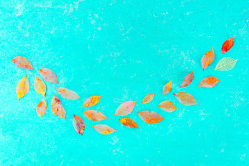 Fototapeta na wymiar Autumn background with vibrant fall leaves on teal blue, a design template with copy space