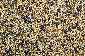  sesame seeds  isolated on a white background