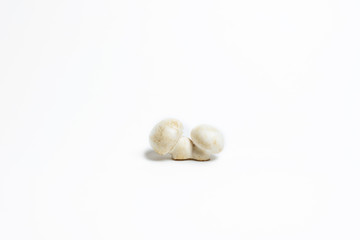 two white mushrooms on a white background