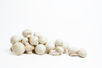 group of white champignons isolated on white background