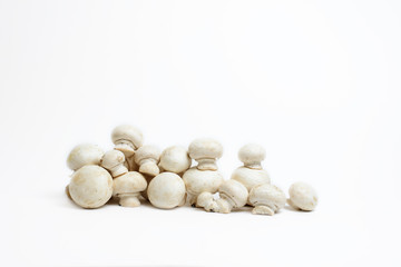 a group of white champignons isolated on a white background. bunch of mushrooms