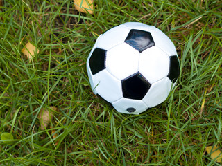 White-black leather soccer ball in a autumn grass playground