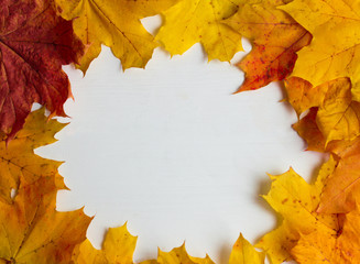 Naklejka na ściany i meble yellow autumn maple leaves on white wooden background, with copy space