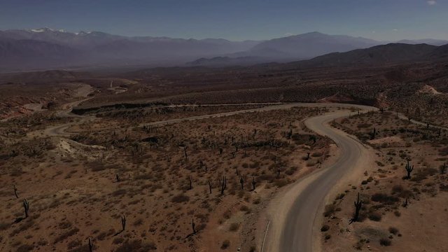Route & Cactus
