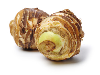 Taro on a white background