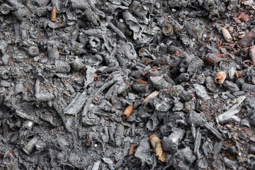 massiveli burned gun ammunition in the forest