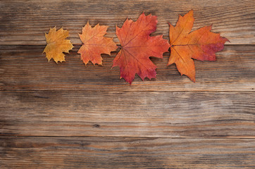 Naklejka na ściany i meble Maple dry leafs over wooden background.