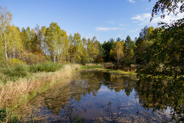 Autumn lake in cloudy weather