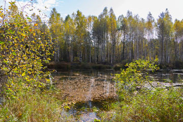 Autumn lake in cloudy weather