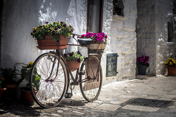 Street Decoration Bicycle