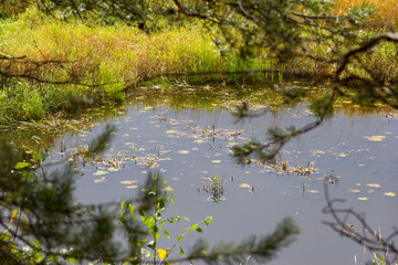 Autumn lake in cloudy weather