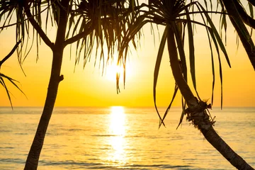 Poster Beautiful landscape with sunset at tropical beach with palm trees © Pavlo Vakhrushev