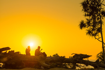 Silhouettes of romantic couple sitting on tree trunk at tropical beach at sunset