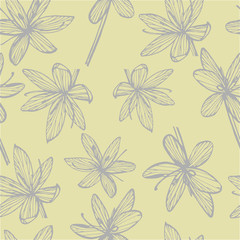 Kafir Lilies flowers. Collection of hand drawn flowers and plants. Botany. Set. Vintage flowers. Black and white illustration in the style of engravings. Seamless pattern