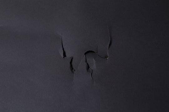 Torn Studio background with traces of dog paws on a gray paper background