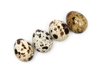 Quail eggs isolated on white background, top view