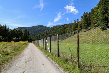Fototapeta na wymiar Metal mesh fence along the field road