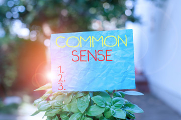Conceptual hand writing showing Common Sense. Concept meaning having good sense and sound judgment...